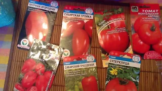 Какие сорта томатов для открытого грунта я выбрала на 2020 год.