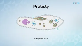 Protisty - Lekcja nagrana - kurs maturalny z biologii matura 2023+ MedicStudy by Biomedica