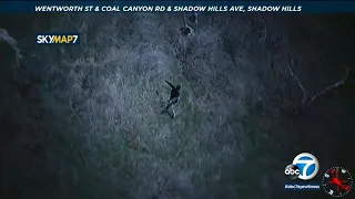 SoCal prowler that terrorized neighborhoods captured after weeks-long manhunt l ABC7