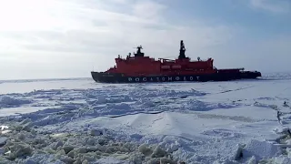 Атомный ледокол «50 лет Победы», 02.04.2016 год