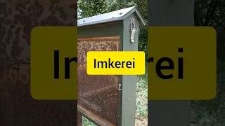 Пасека по-немецки