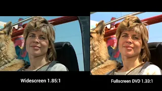 The Terminator 1984 Aspect ratio comparison widescreen vs fullscreen dvd ending scene