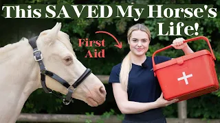 An Equine First Aid Kit could SAVE your Horse's Life one day!