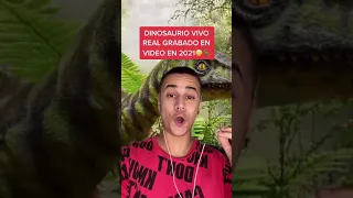 Dinosaurio Vivo Real Grabado En Video #shorts