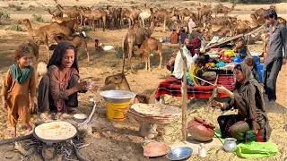 Desert Women Morning Routine In Summer Pakistan | Cooking Breakfast | Village Life Pakistan