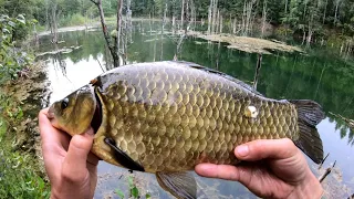 Лучшая рыбалка на КАРАСЯ, Трофей в копилку!!!