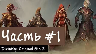 НАЧАЛО: Divinity: Original Sin II - #1