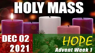 Holy Mass - 02/12/2021 - Thursday of 1st Week of Advent