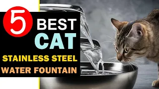 Best Stainless Steel Cat Water Fountain 2024 🏆 Top 5 Best Cat Water Fountain Reviews