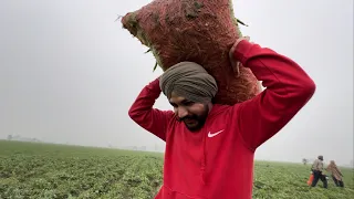 AGRICULTURE VLOG / PIND NANKE / PUNJABI VLOGS