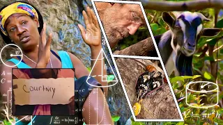 5 Times Survivor Players Hacked Strategy 2.0