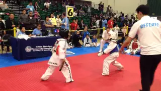Taekwondo Spin Kicks