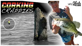 How to Rig and Fish Slip Bobbers for Crappie in Timber