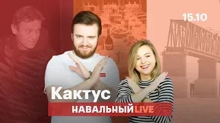 🌵 Навальный на свободе, искусство отдыхать и недостроенный мост