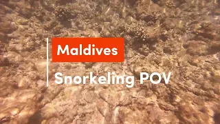 Snorkeling in Thulhagiri Island, Maldives - A First-Person Experience