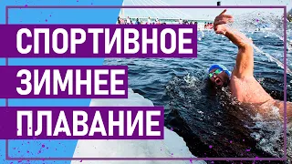 Вот это спорт! СПОРТИВНОЕ ЗИМНЕЕ ПЛАВАНИЕ