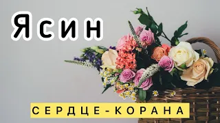 Сура-ЯСИН (СЕРДЦЕ КОРАНА) СЛУШАЙТЕ КАЖДЫЙ ДЕНЬ