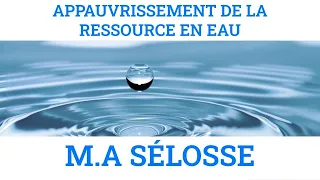 Racines et microbes dans la gestion de l'eau, par Marc-André Selosse