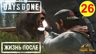 DAYS GONE. ЖИЗНЬ ПОСЛЕ. 🎮 PS4 #26 РАЙОН КРЕЙТЕР ЛЕЙК. Прохождение на русском.