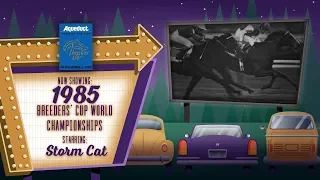 1985 Breeder's Cup World Championships