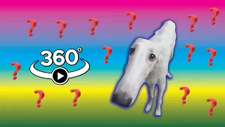 Let me do it for you 360° - Find Borzoi dog | VR/360° Experience