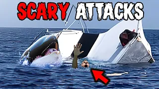 TERRIFYING Moments Orcas SINKING Boats In Spain