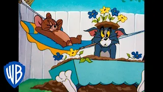 Tom & Jerry em Português | Brasil | A Lista de Ano Novo | WB Kids