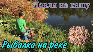 Рыбалка на Мокше. КАША ВМЕСТО ПРИКОРМКИ. Ловля на фидер (донки/закидушки) на реке с сильным течением