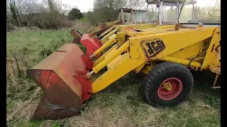 YELLOW RUSTING BEAUTIES VOL 1