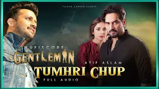 Atif Aslam's Tumhari Chup from Gentleman - SUFISCORE - Full OST Audio