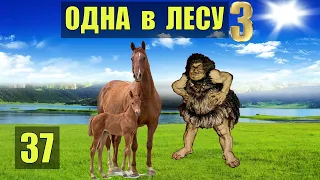 ТАЙНЫЙ ОБРЯД ПЛЕМЕНИ МАМУТОИ в ПЕЩЕРЕ - ОТНОШЕНИЯ ОДНА В ЛЕСУ СУДЬБА РОБИНЗОН ЖИВОТНЫЕ СЕРИАЛ 37