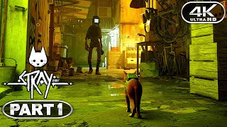 Stray Gameplay Walkthrough Part 1 - PC 4K 60FPS No Commentary