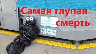 Самая нелепая смерть ӏ аленизм, баборабство мд школа ӏ меганыч ӏ мужское движение мисп mgtow история