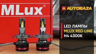 LED лампы с желтым светом. Как светят в рефлекторной фаре? LED лампы MLux Red Line H4 4300K 45W.