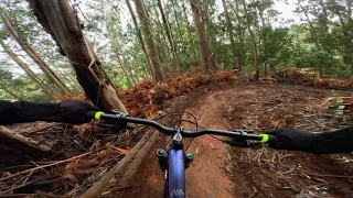 Jumpline | Madeira | Enduro MTB | January 2024 | 4K