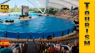 Loro Parque - zoo in Tenerife, excursion, where to buy tickets with transport