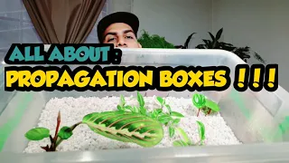 PROPAGATION BOXES / ALL ABOUT MY PROPAGATION BOXES / DIY PROPAGATION TANK