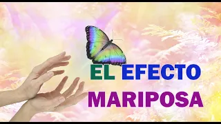 El efecto mariposa: Un pequeño cambio conlleva una gran responsabilidad