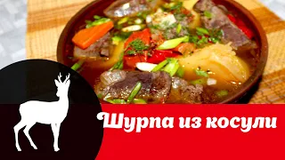 Видео рецепт приготовления шурпы из косули: как сделать мясной супчик из дичи просто и вкусно