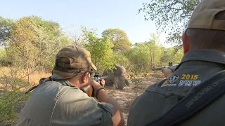 Elephant Hunting in the Caprivi by the Best!