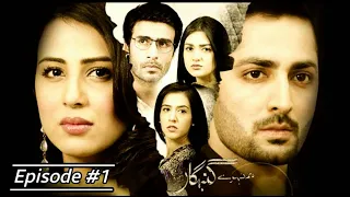 HUM THERHAY GUNAHGAR EPISODE 1|Danish Taimoor |Ushna Shah|Sara Khan|