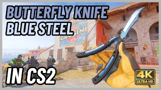 ★ CS2 Butterfly Knife Blue Steel | CS2 Knife In-Game Showcase [4K]