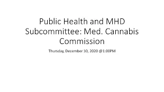 Public Health and Minority Health Disparities Subcommittee