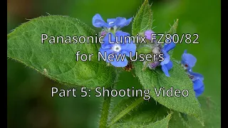 Panasonic Lumix FZ80/82 for new users - Part 5: Shooting Video