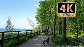 Virtual Jastrzębia Góra walk video with bavarian mountain hound|Poland|Beach and city walk|June 2022