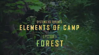 Elements of Camp: FOREST