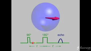 MRI Physics  Part 12 T1 ,T2 and PD اساسيات فيزياء  الرنين المغناظيسي بالعربي