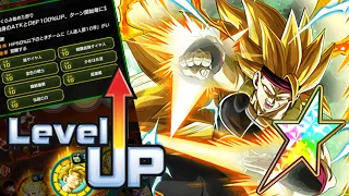 100% INT SSJ3 BARDOCK WITH NEW LEVEL 10 LINK SKILLS SHOWCASE! | Dragon Ball Z Dokkan Battle