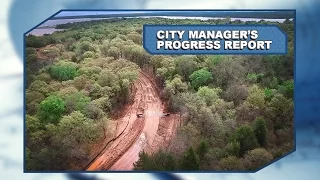 City Manager's Progress Report (Apr. 2016)