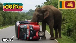 Sri Lanka Tuktuk Tournament Day 6 | Surviving Wild Elephants